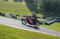 Vintage-motorcycle-club;eventdigitalimages;mallory-park;mallory-park-trackday-photographs;no-limits-trackdays;peter-wileman-photography;trackday-digital-images;trackday-photos;vmcc-festival-1000-bikes-photographs